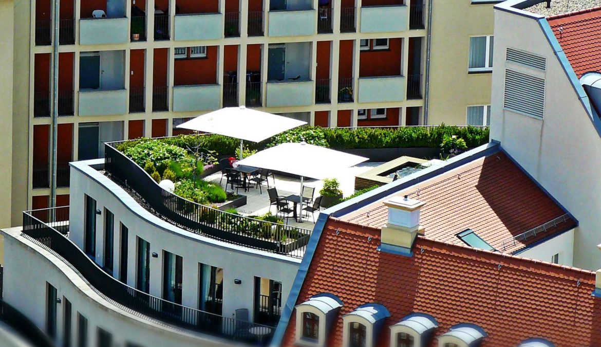 Roof Terrace Garden
